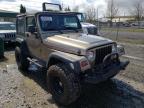 JEEP - WRANGLER