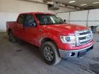 FORD - F-150