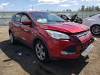 FORD - ESCAPE