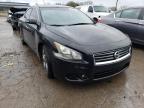 NISSAN - MAXIMA