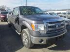 FORD - F-150