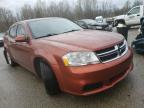 DODGE - AVENGER