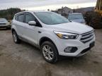 FORD - ESCAPE