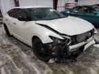 NISSAN - MAXIMA