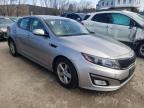 KIA - OPTIMA