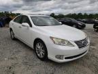 LEXUS - ES350