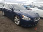 NISSAN - MAXIMA