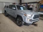 TOYOTA - TACOMA