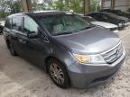 HONDA - ODYSSEY