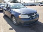 DODGE - AVENGER