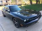 DODGE - CHALLENGER