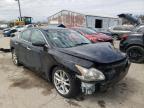 NISSAN - MAXIMA