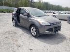 FORD - ESCAPE