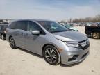 HONDA - ODYSSEY