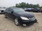 LEXUS - ES350