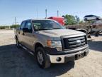 FORD - F-150