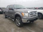 FORD - F-150