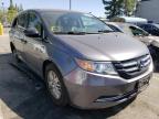 HONDA - ODYSSEY