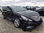 HYUNDAI - SONATA