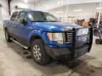 FORD - F-150