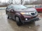 KIA - SORENTO