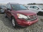 HONDA - CRV