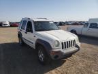 JEEP - LIBERTY