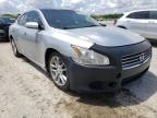 NISSAN - MAXIMA
