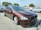 NISSAN - MAXIMA