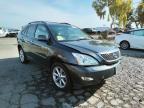 LEXUS - RX350