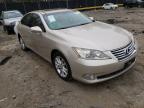 LEXUS - ES350