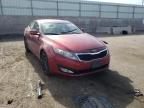 KIA - OPTIMA