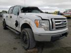 FORD - F-150