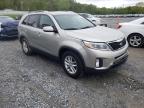 KIA - SORENTO