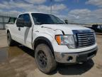 FORD - F-150