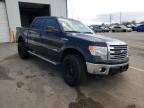 FORD - F-150