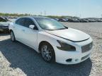 NISSAN - MAXIMA