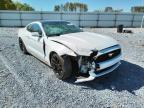 FORD - MUSTANG