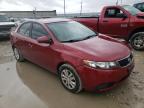 KIA - FORTE