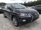 LEXUS - RX350