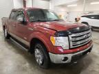 FORD - F-150