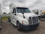 FREIGHTLINER - CASCADIA 1