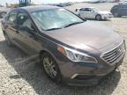 HYUNDAI - SONATA