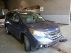 HONDA - CRV