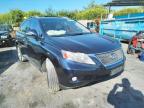 LEXUS - RX350