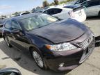 LEXUS - ES350