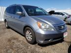 HONDA - ODYSSEY