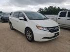 HONDA - ODYSSEY