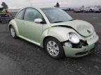 VOLKSWAGEN - BEETLE