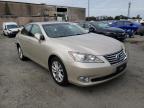 LEXUS - ES350